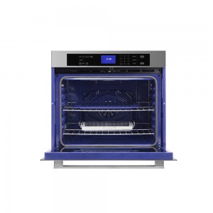 Electric Oven