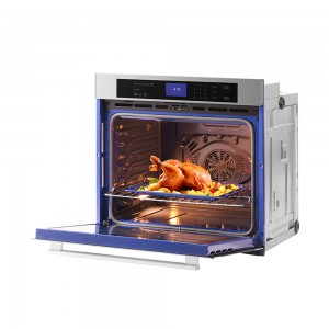 Electric Oven