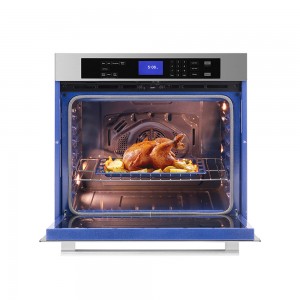 Electric Oven